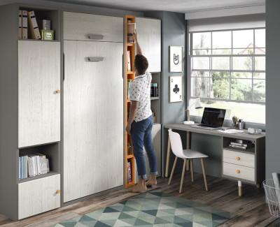 Bedroom comprised of wall bed, desk and shelves